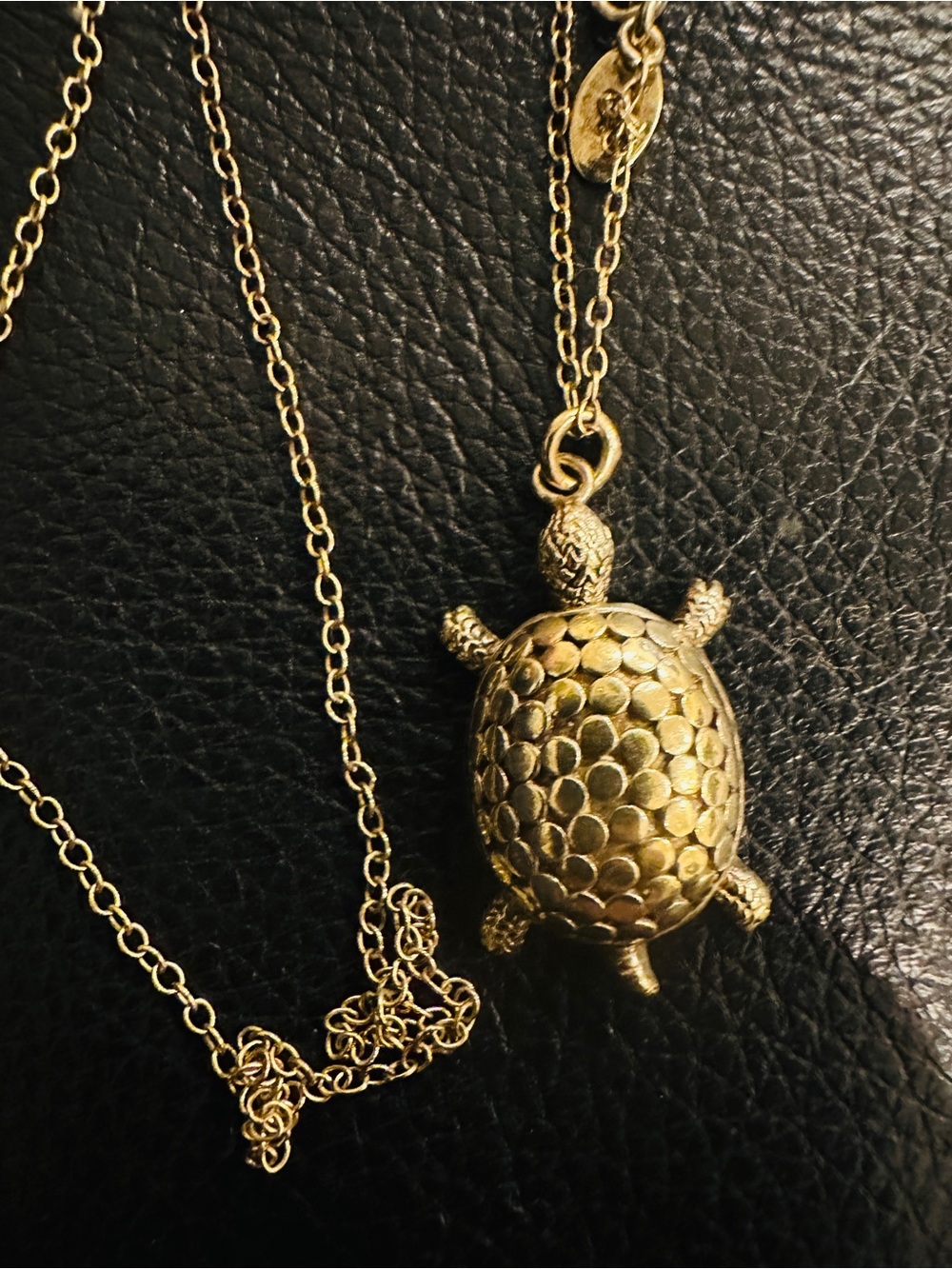 Anna Beck turtle pendant necklace